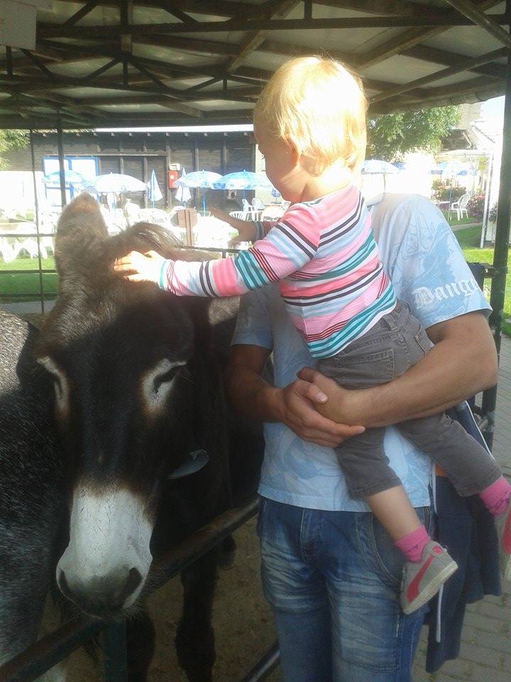 Donkey park Nessendorf
